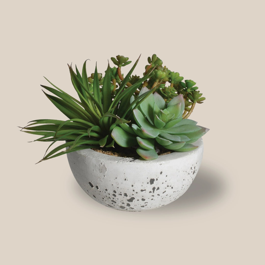 Faux Green Succulents & Pot