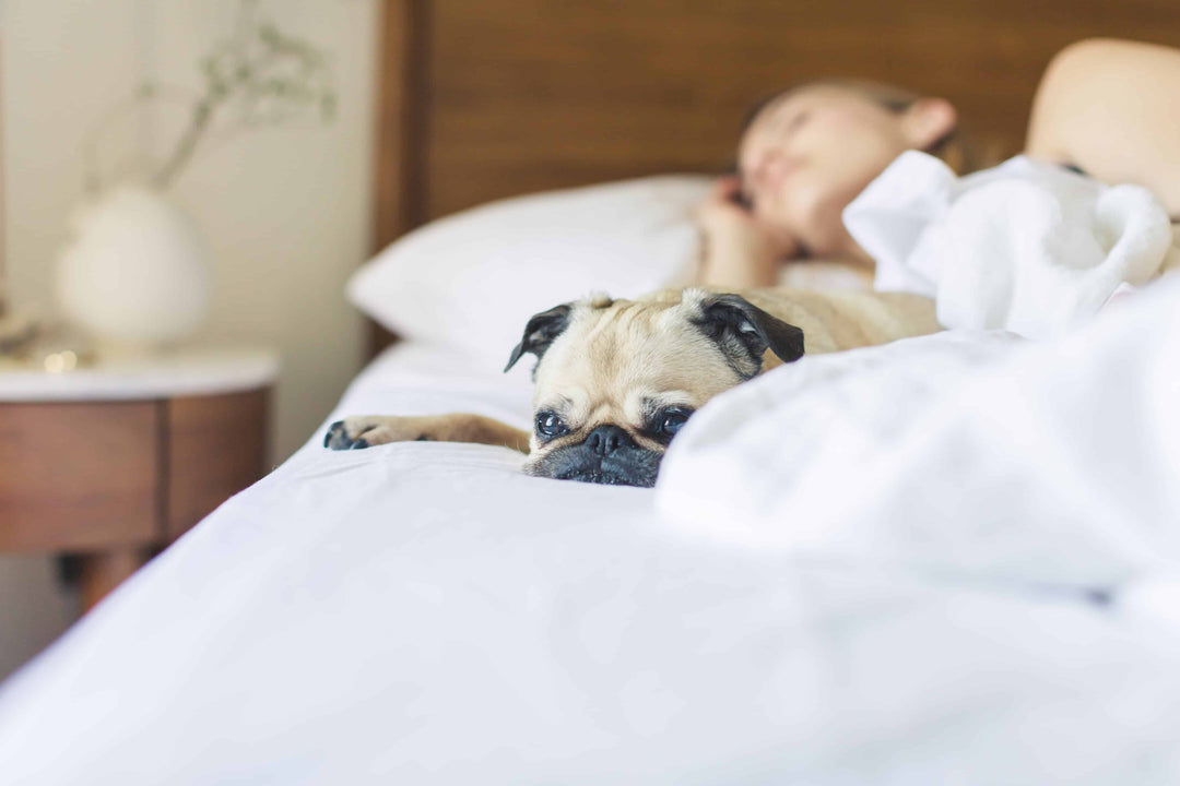 The Escapology Guide To Bed Sizes & Mattress Sizes in the UK