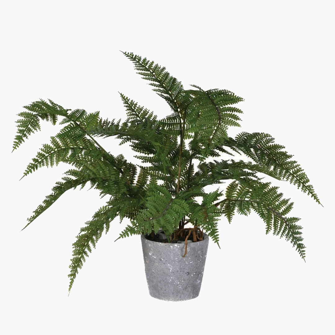 Artificial Fern In Pot