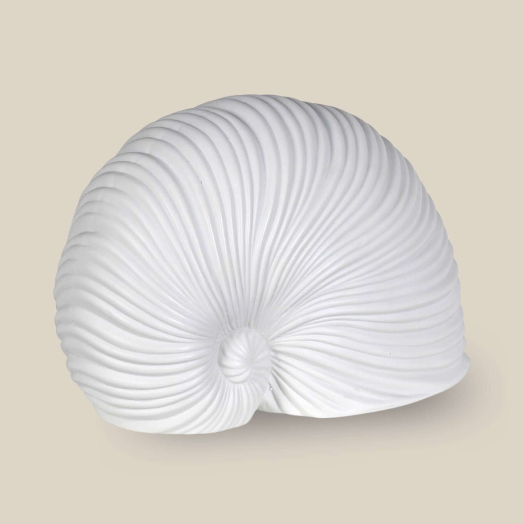 Faux Sea Snail Shell