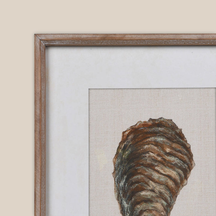 Oyster Framed Print Set