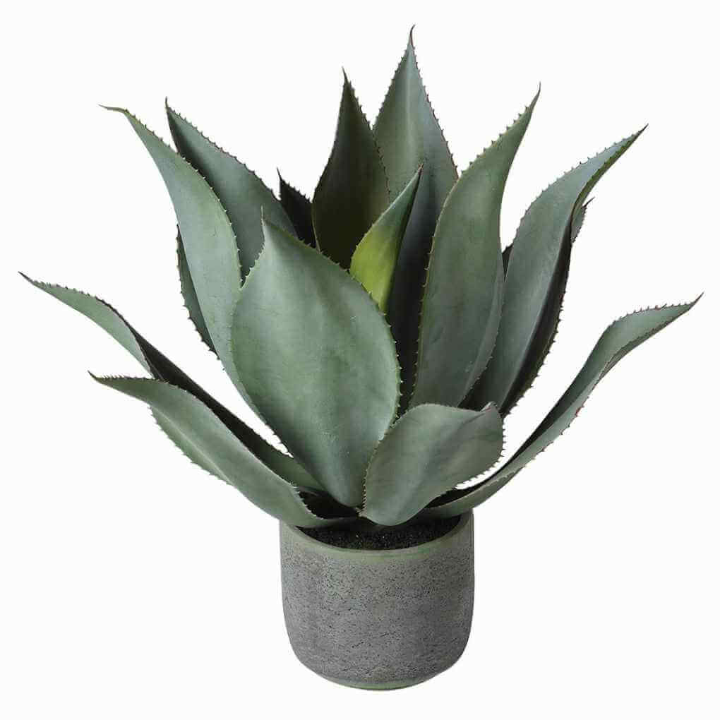 Faux Aloe Vera & Clay Pot