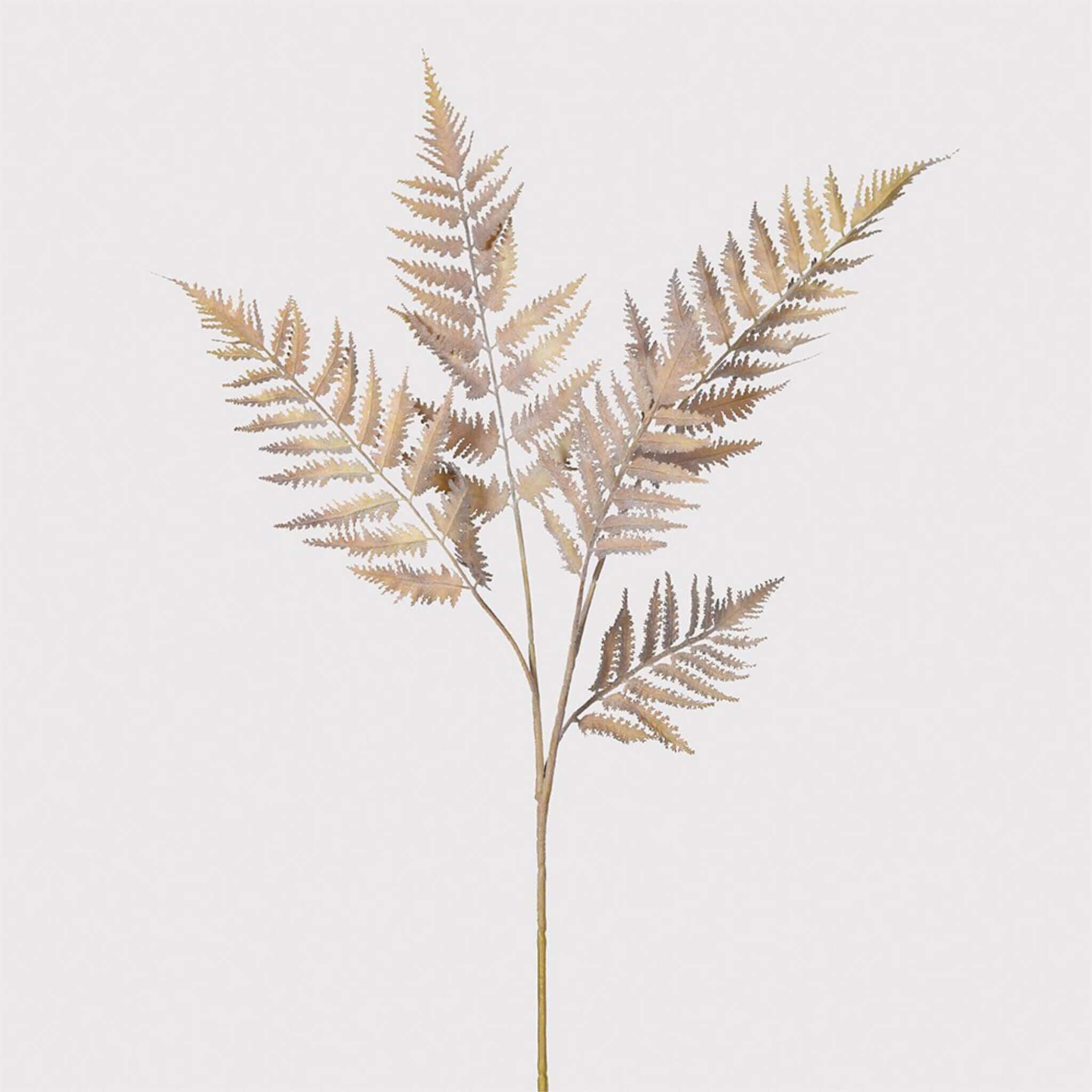 Faux Claw Fern Stem - escapologyhome.co.uk