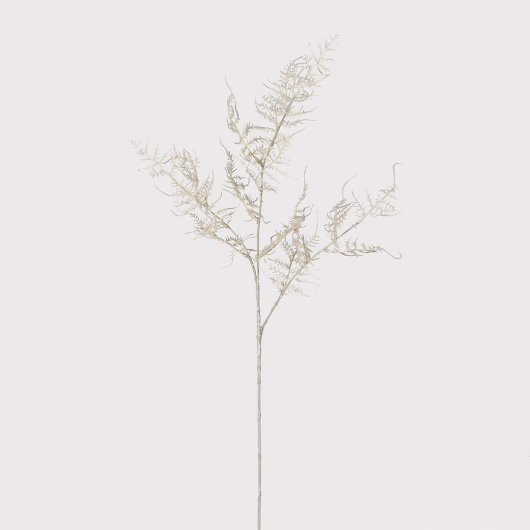 Faux Cream Asparagus Spray - escapologyhome.co.uk