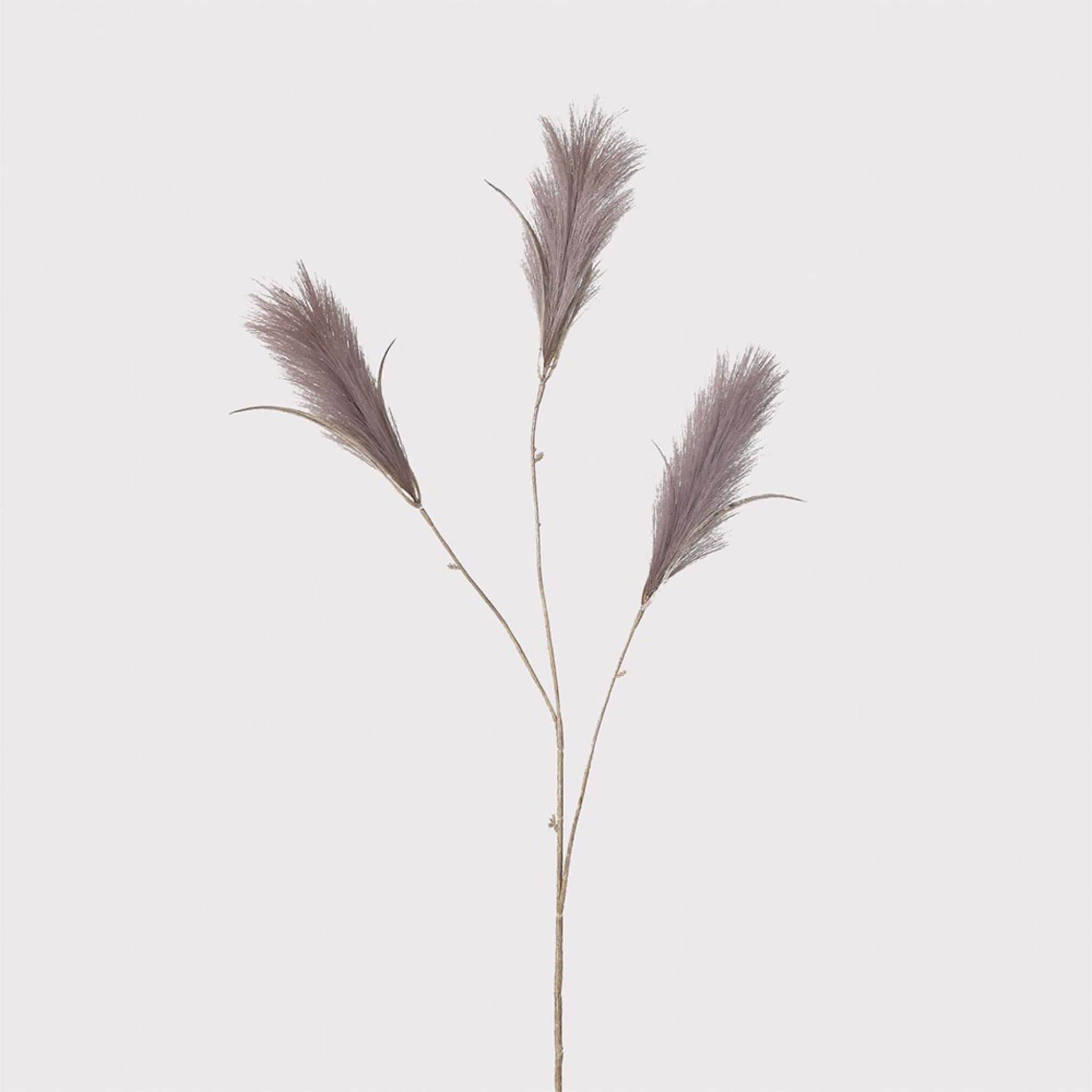Faux Faded Mauve Reed Grass Spray - escapologyhome.co.uk