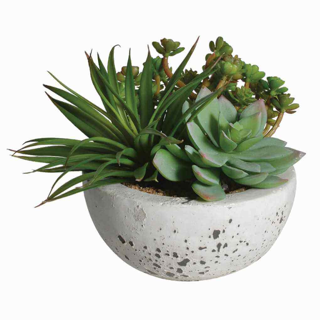 Faux Green Succulents & Pot