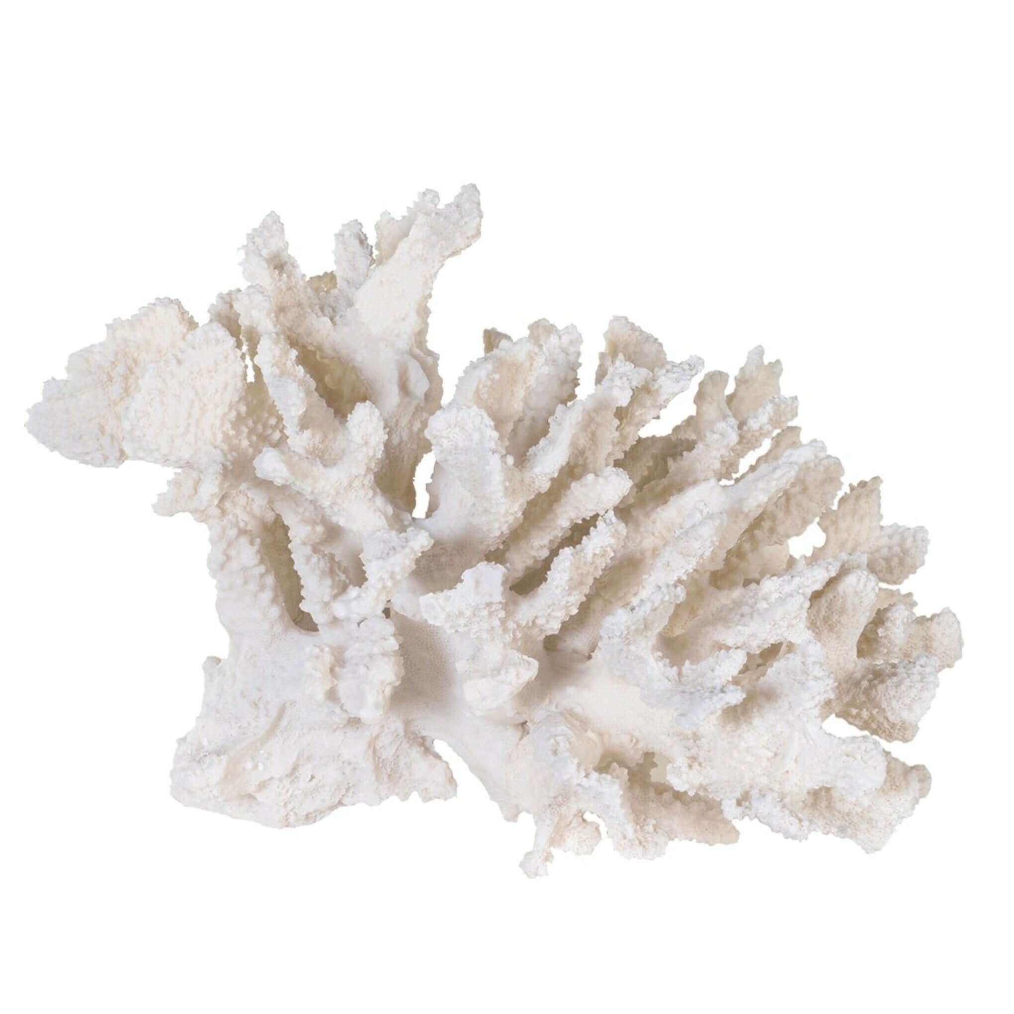 Large Faux White Coral Ornament - escapologyhome.co.uk