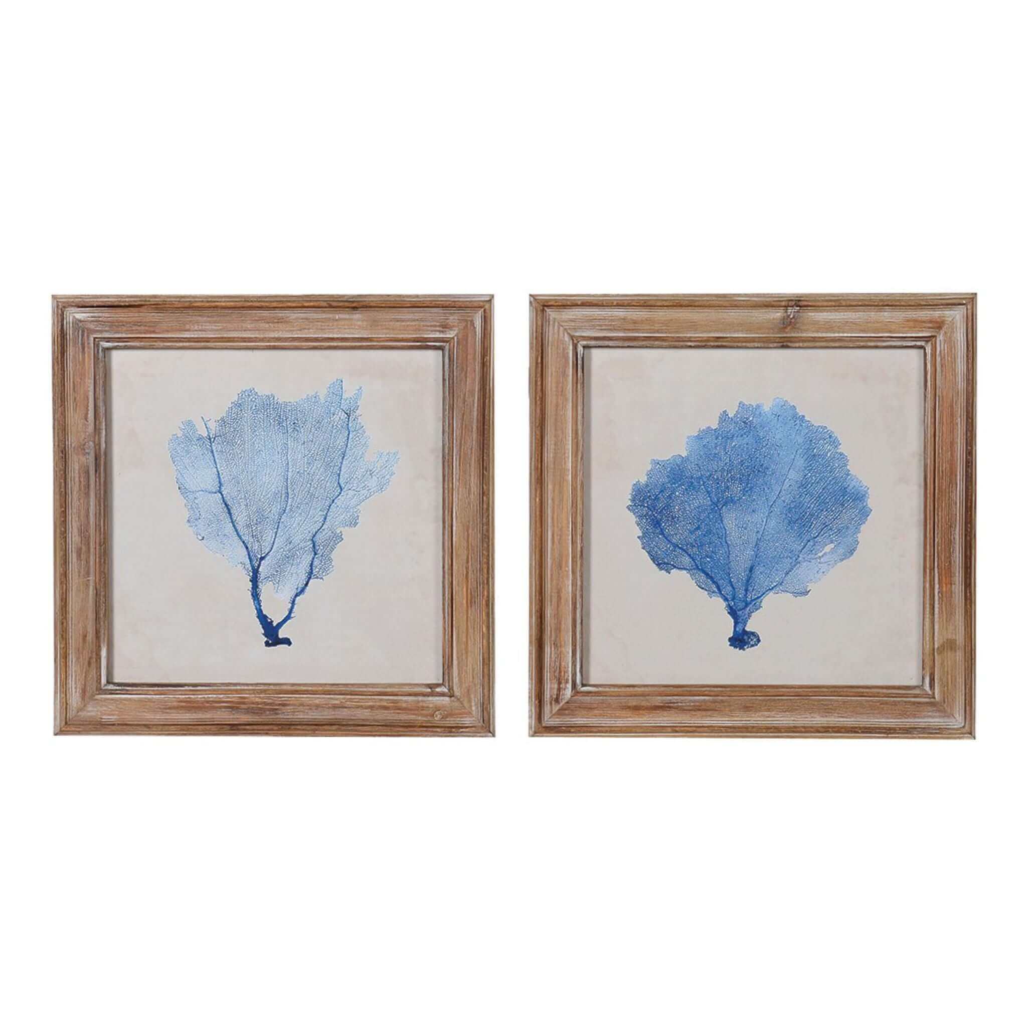Blue Coral Art Prints - Set of 2 - escapologyhome.co.uk