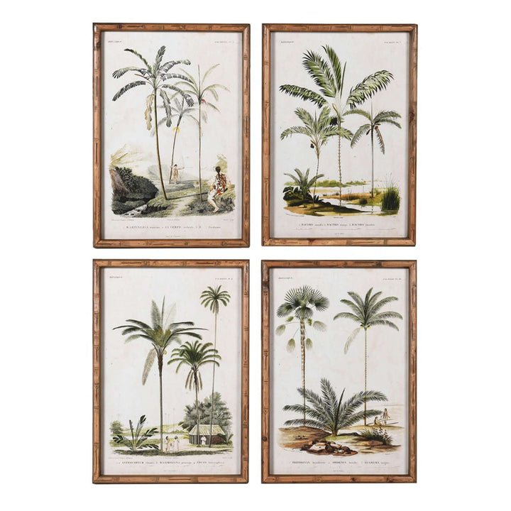 Vintage Palm Prints - Set of 4 - escapologyhome.co.uk
