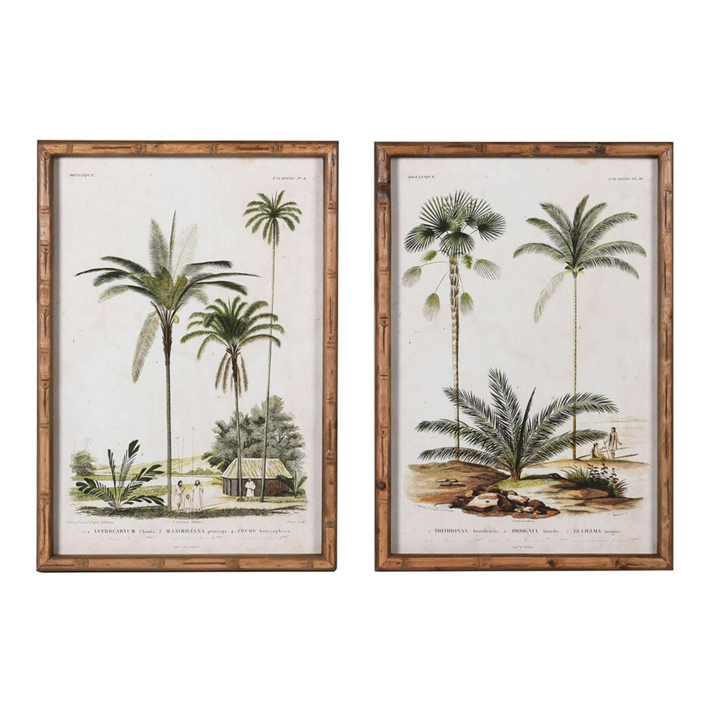 Vintage Palm Prints - Set of 4 - escapologyhome.co.uk